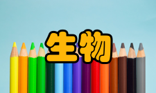 生物技术信息技术发展（1）生物技术推动超级计算机产业的发展