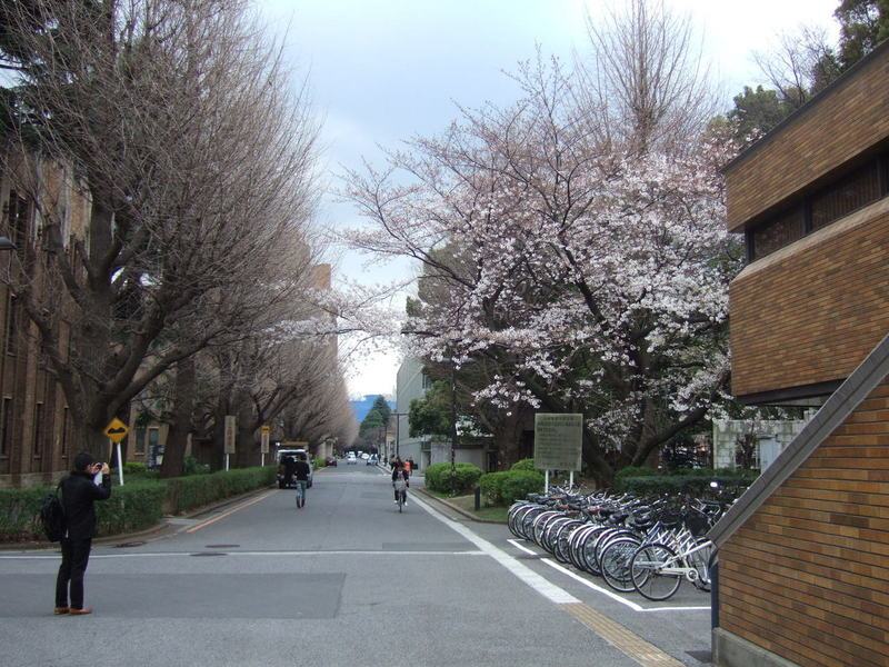 京都大学办学模式培养独立自主精神