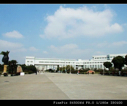 上海大学社会科学学院概况