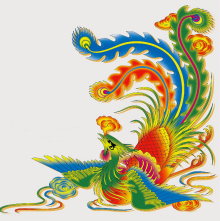 长生鸟基本介绍