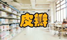 皮瓣移植修复创伤