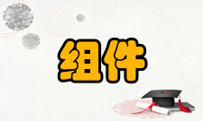 分布处理组件技术