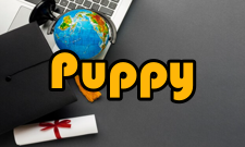 Puppy Linux简介