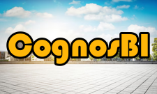 CognosBI发展趋势