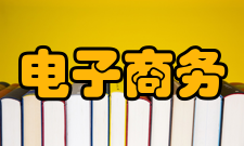 电子商务领域犯罪研究内容简介