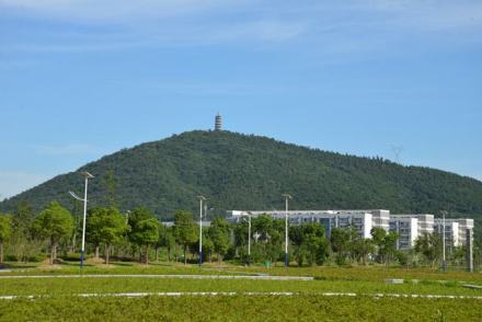 合肥职业技术学院教学建设