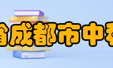 四川省成都市中和中学学生成绩