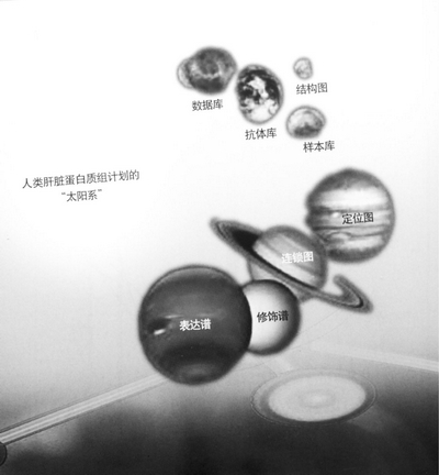 蛋白质组研究研究意义