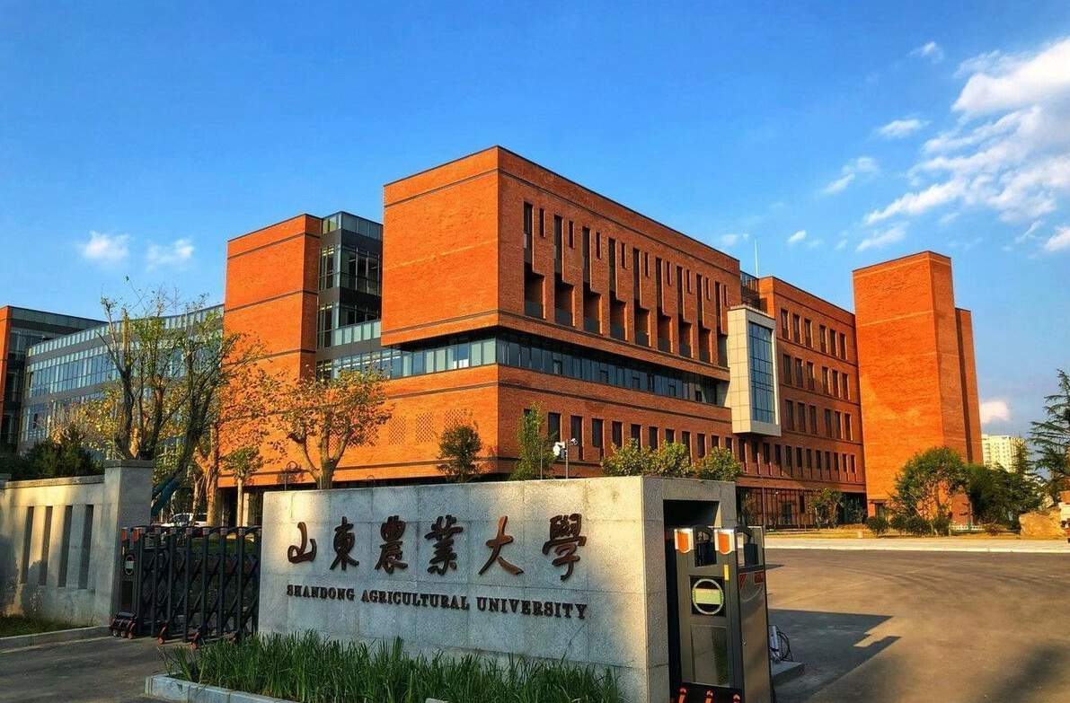 山东农业大学山东农业大学