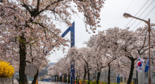 祥明大学天安校区