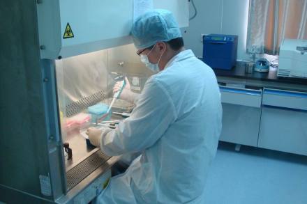 P2实验室实验室介绍世界卫生组织（WHO）