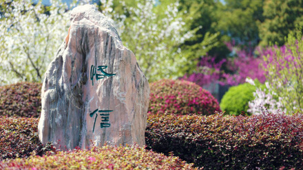 常州信息职业技术学院学校荣誉