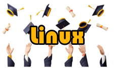 Linux内核动态内核