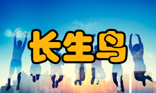 长生鸟凤凰古城