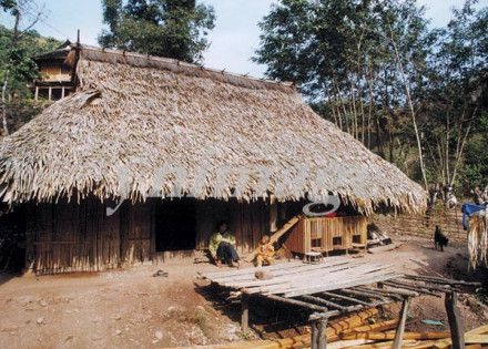 干栏式建筑各种样式