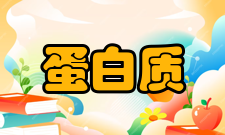 蛋白质工程嵌合抗体免疫球蛋白呈Y型