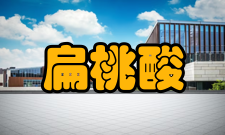 扁桃酸制备方法