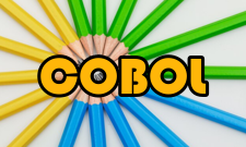 COBOL语言书写格式
