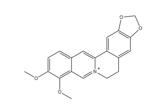 小檗碱盐酸胶囊制剂
