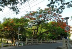 闽南师范大学规模设施