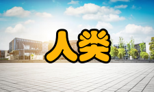 人类理解研究作品评价