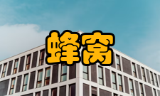 蜂窝移动通信主要分类