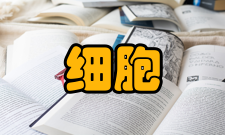 细胞破碎保持细胞活性