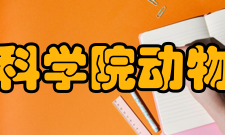 广东省科学院动物研究所研究队伍