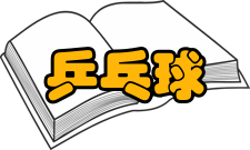 乒乓球竞赛基本简介