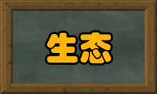 城市化与生态环境耦合机制及调控研究内容简介