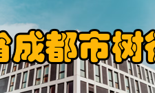 四川省成都市树德中学学生成绩