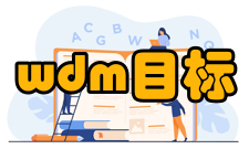 wdm目标