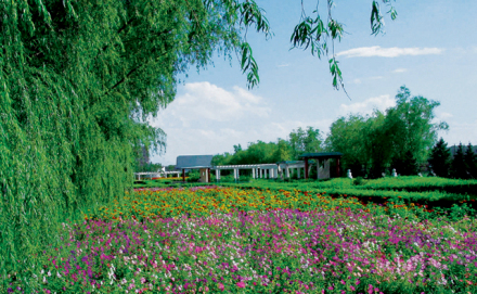 大庆师范学院学科建设