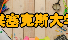 埃塞克斯大学部分硕士专业