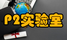 P2实验室电气设置1、应设专用配电箱