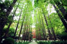 东华大学科研机构