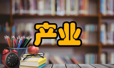 产业价值链增值性