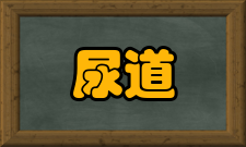 尿道狭窄辅助检查