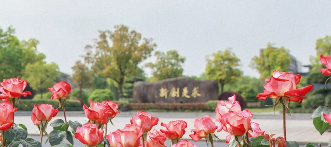 浙大城市学院精神文化