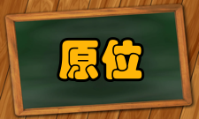 原位研究研究综述