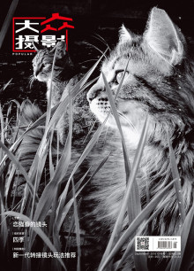 中国摄影家协会学术期刊