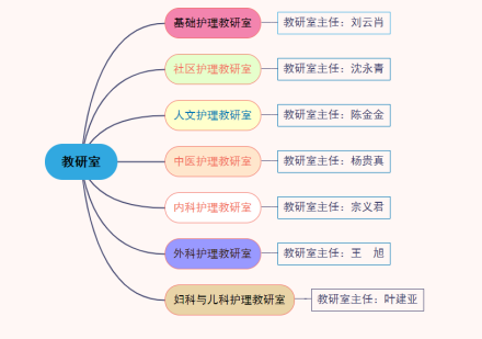 河北中医药大学护理学院荣誉记录