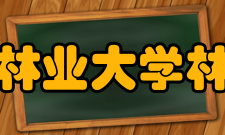 东北林业大学林学院文化传统文化活动