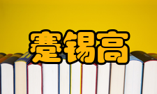 高性能树脂工程技术研究中心主任磅锡高社会任职