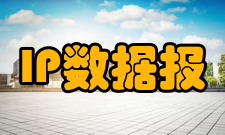 IP数据报监控技术