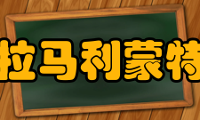 洛约拉马利蒙特大学学术课程