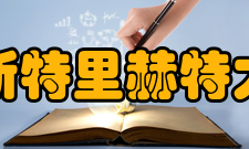 马斯特里赫特大学