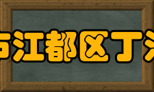 扬州市江都区丁沟中学师资力量