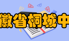 安徽省桐城中学合作交流安徽省桐城中学先后与新西兰ICL教育学