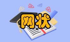 网状网高性能和非视距传输